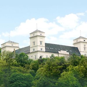 Zamek Racice